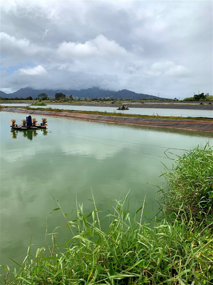 Fishing Reservoir at Ali'i Turf photo
