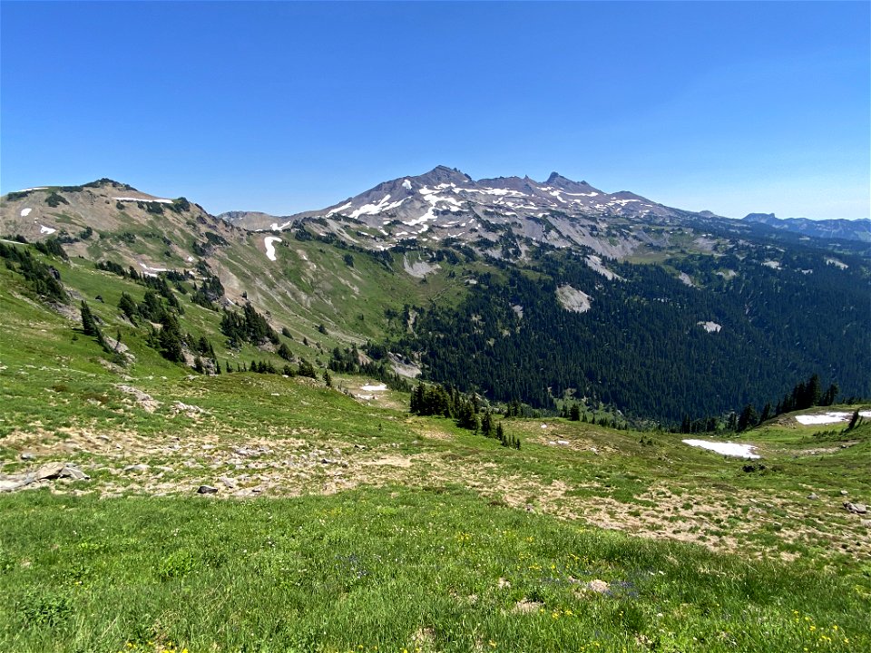 Goat Rocks Wilderness in WA