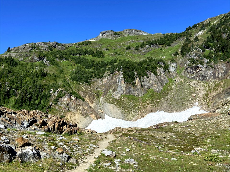 Yellow Aster Butte in WA