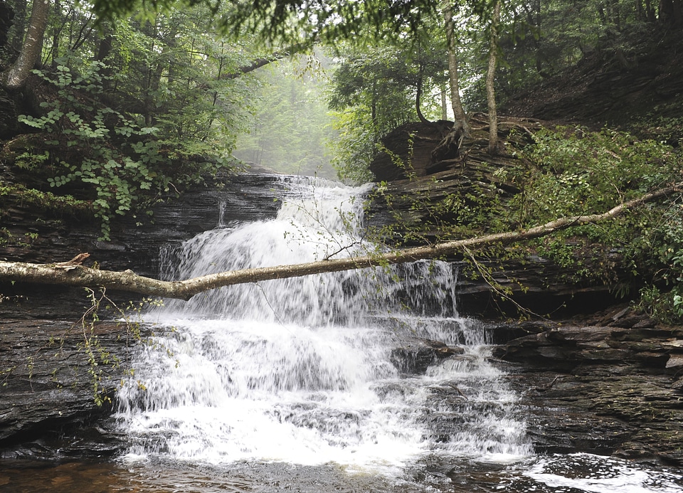 Ricketts Glen State Park