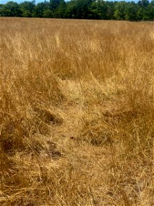 Oregon 20220713-001-03 (thumbnail+(1))