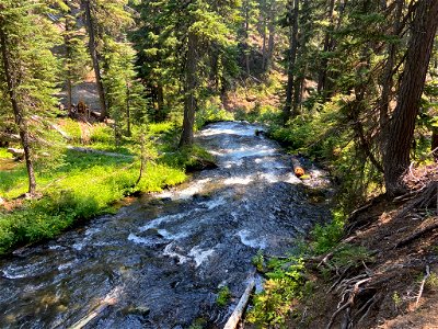 Fall Creek in OR