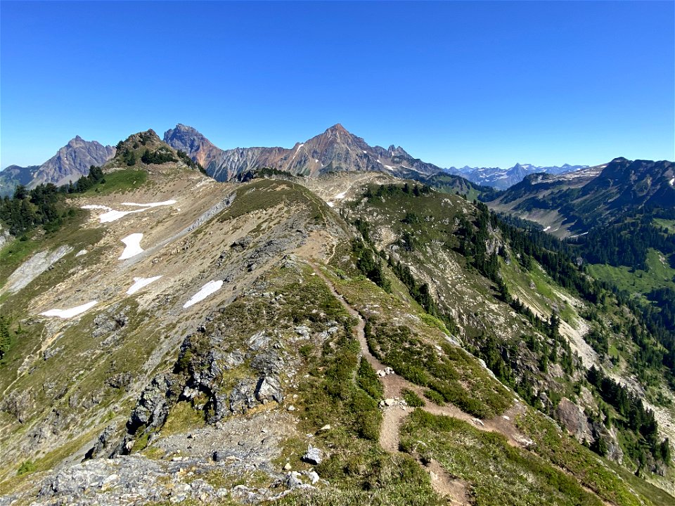 Yellow Aster Butte in WA