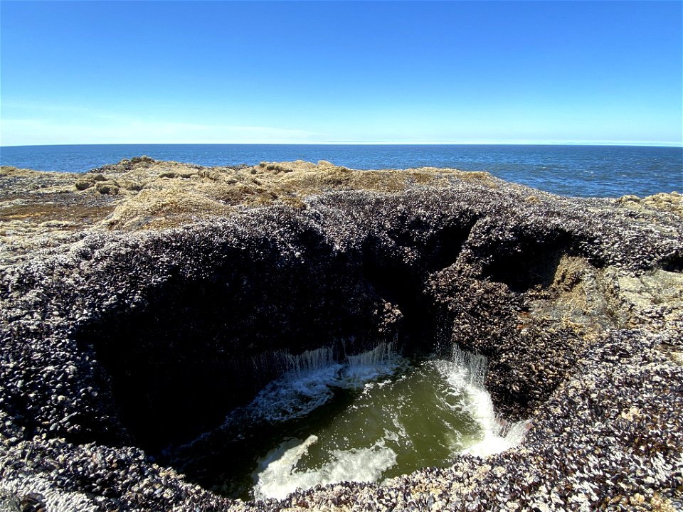 Cape Perpetua in OR