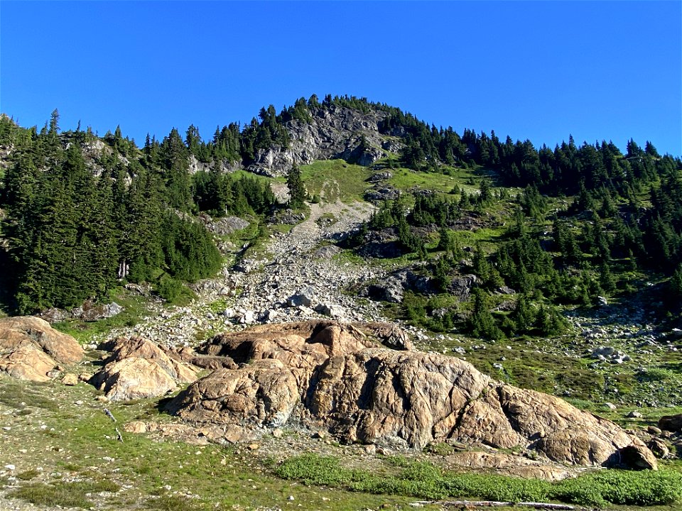 Yellow Aster Butte in WA