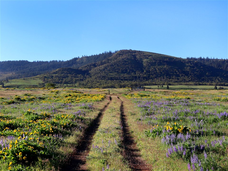 Rowena Plateau in OR