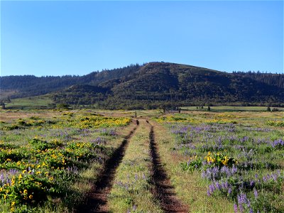 Rowena Plateau in OR