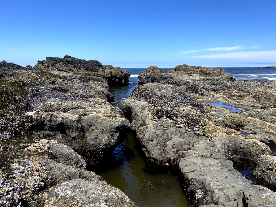 Cape Perpetua in OR