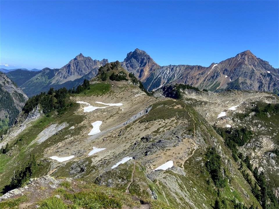 Yellow Aster Butte in WA