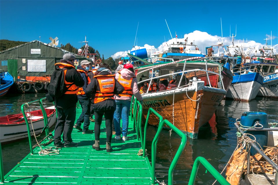 Tour por el Canal de Tenglo_Caleta de Pescadores Anahuac.jpg