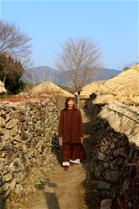 IMG_0559