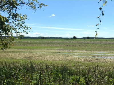 The Missouri River's Fertile Floodplain