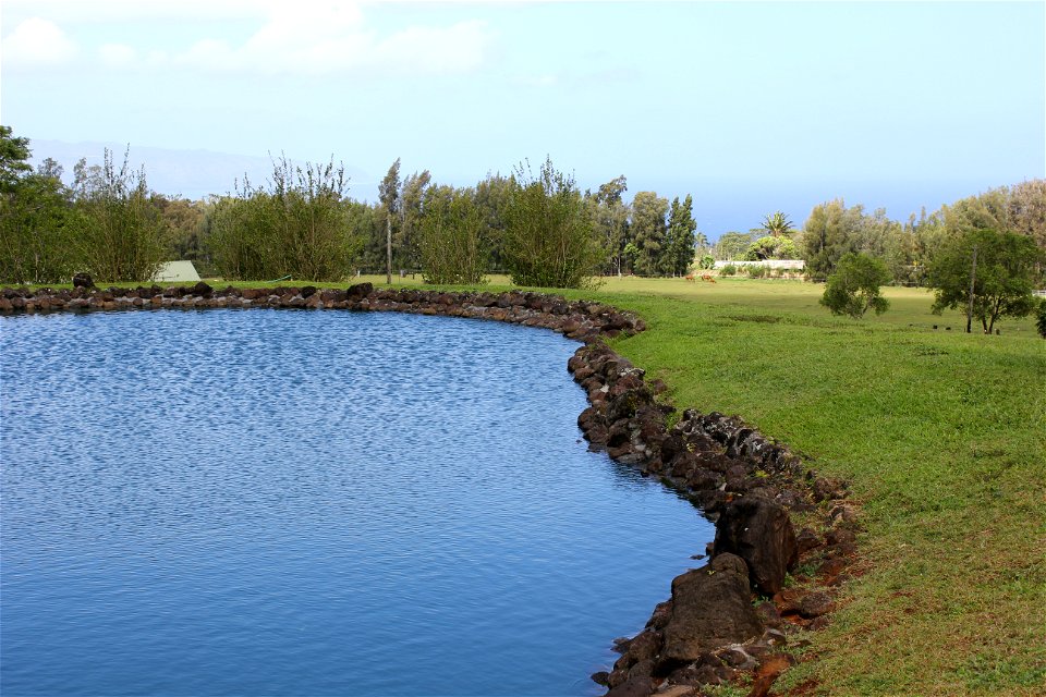 Pond at Sunset Ranch, Haleiwa, HI
