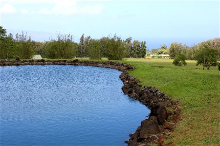 Pond at Sunset Ranch, Haleiwa, HI photo