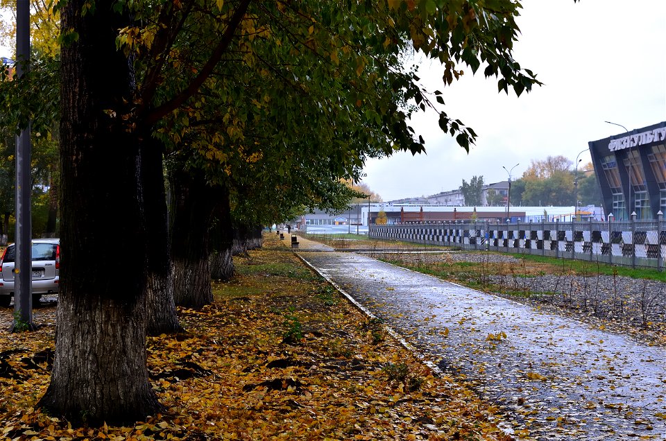 city streets on a rainy autumn day