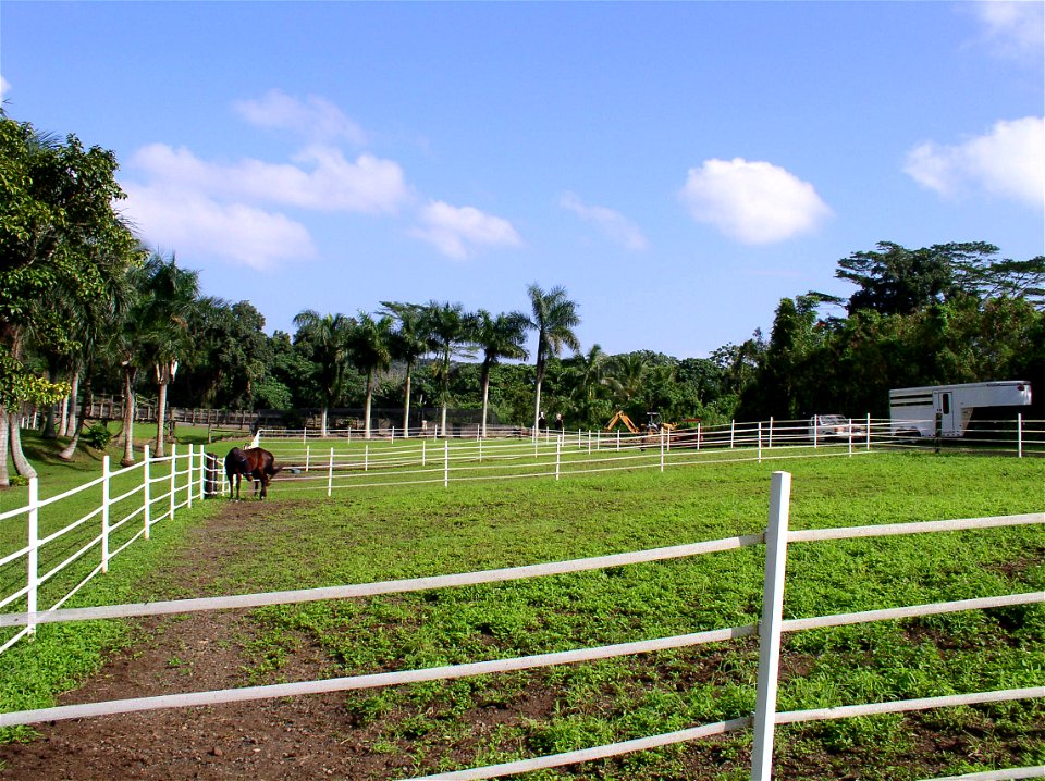 Pasture Management in Waimanalo