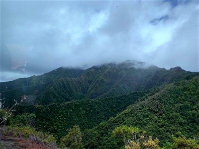 View from Mt. Ka'ala