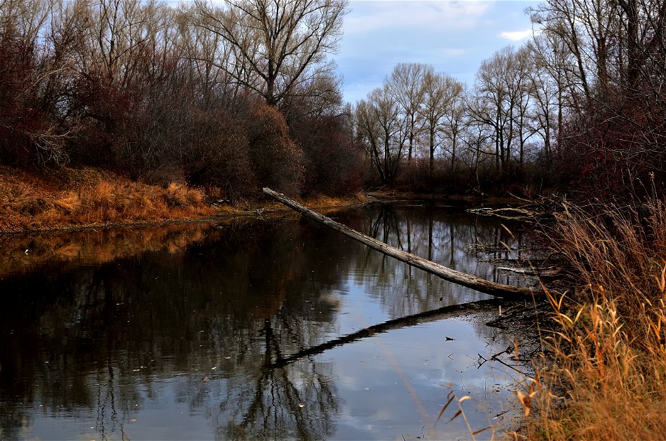 late autumn on the Yenisei photo