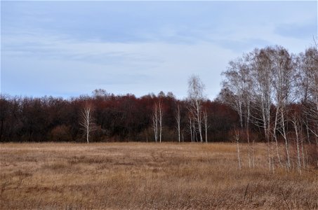 autumn landscape photo