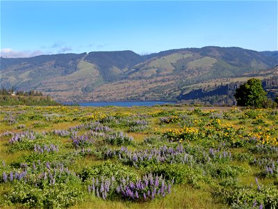 Rowena Plateau in OR