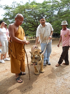 Buddhist leashed animal