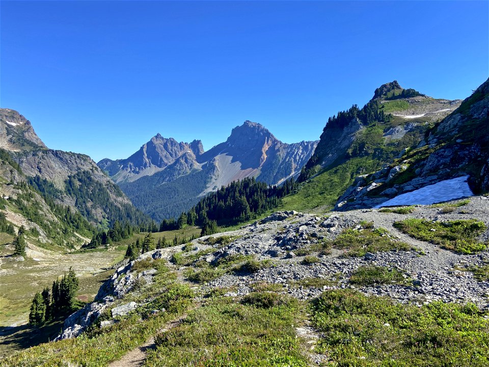 Yellow Aster Butte in WA