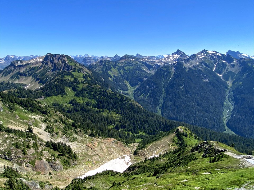 Yellow Aster Butte in WA