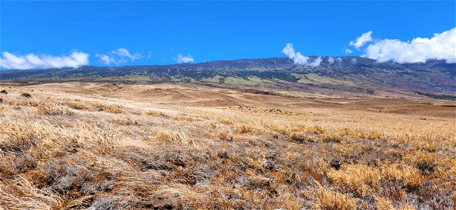Observing Haleakala photo