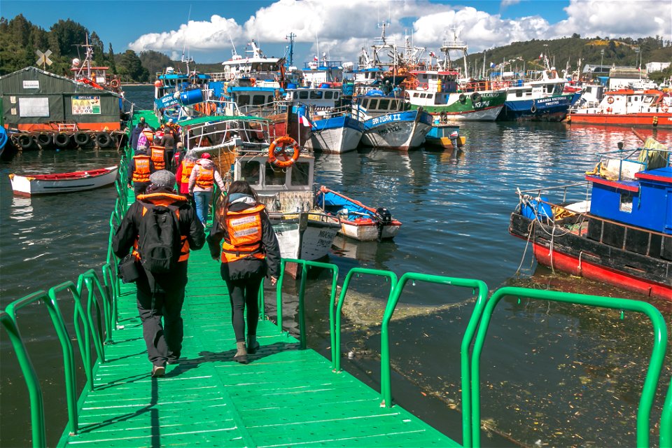 Tour por el Canal de Tenglo_Caleta de Pescadores Anahuac.jpg