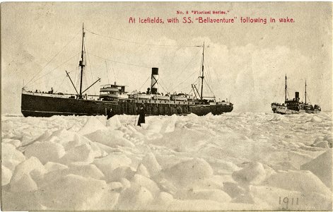 At Icefields, SS Bellaventure