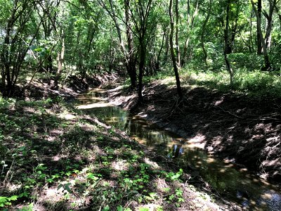 Tributary to Big Creek