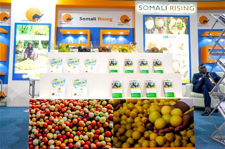 GEELGulfood2019-29