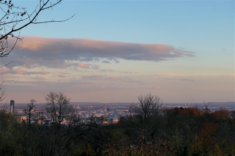 Wien in Donaukrepp-Stimmung