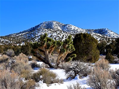 Landscape in NV photo