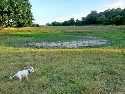 Lawrence 20220706-001-01 (dry+pond+2022)
