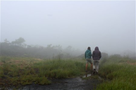 Walking trail at Mt. Ka'ala photo