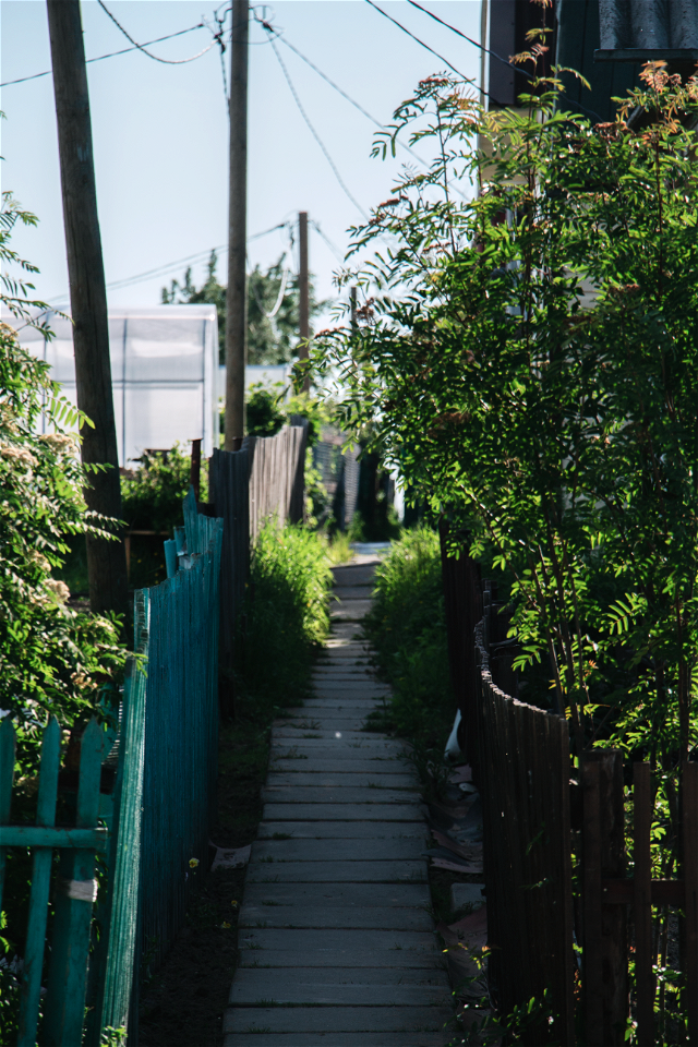Переулок / Lane