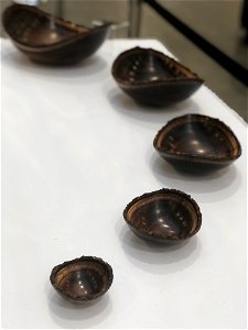 AAW 2022 Woodturners Symposium