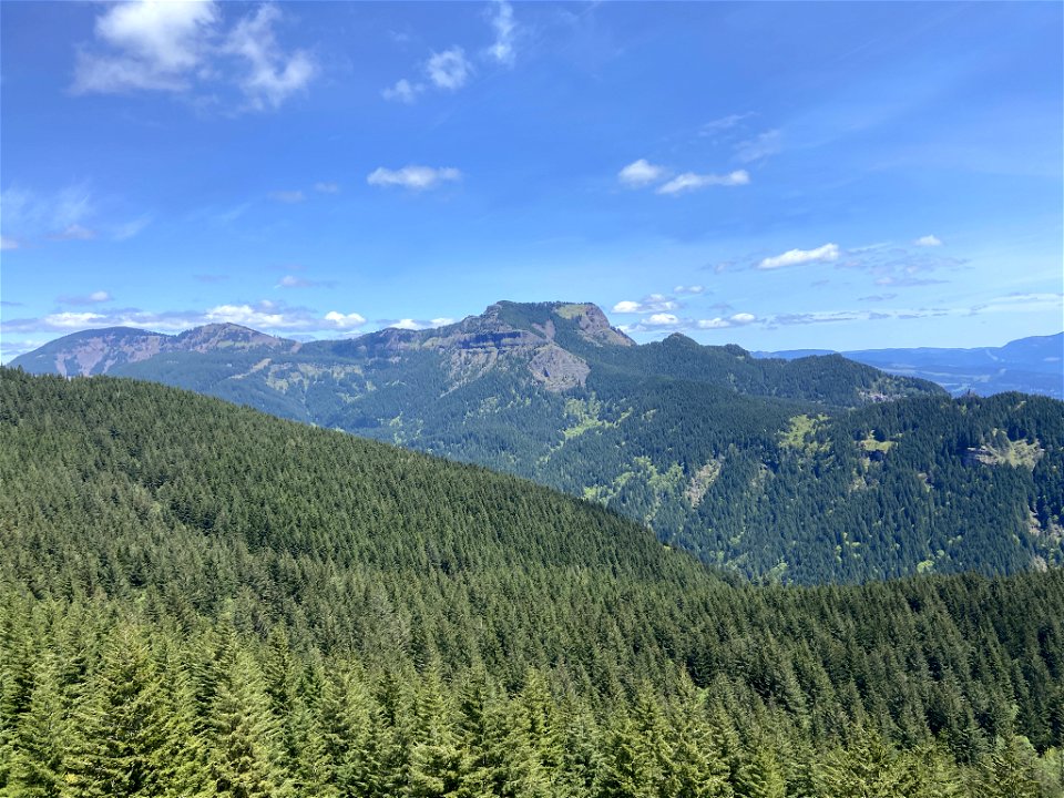 Hamilton Mountain in WA