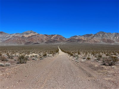 Mountains in NV photo