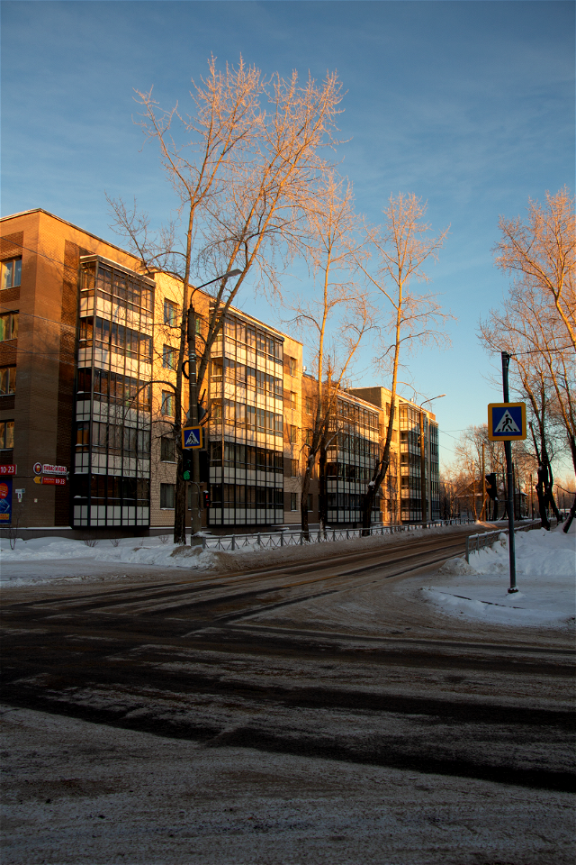 Лесная улица / Forest street