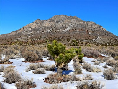 Landscape in NV