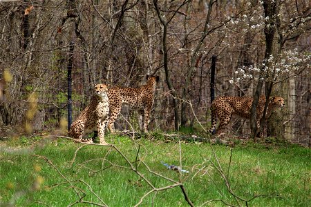 IMG_2242