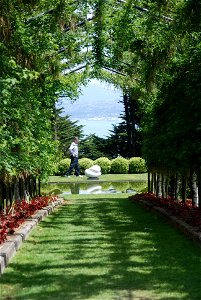 Down the Garden Path