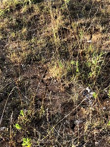 Cooper 20220726-004-03 (14)