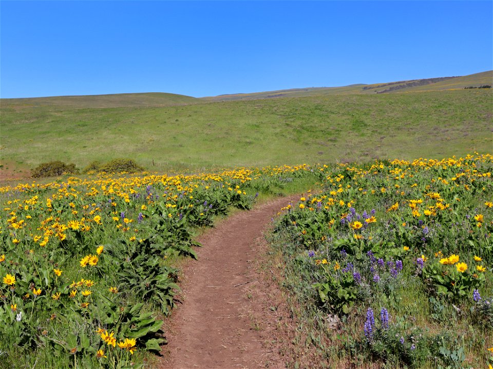 Dalles Mountain Ranch in WA