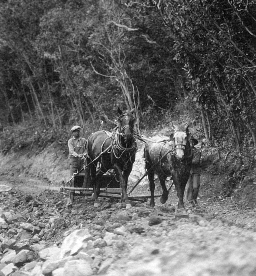Historic Photos Cibola NF & NGs