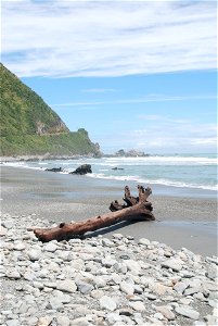NZ184