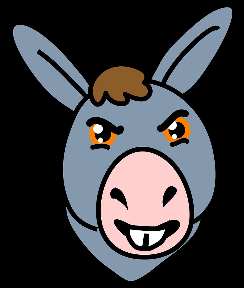 Donkey