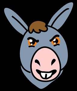 Donkey